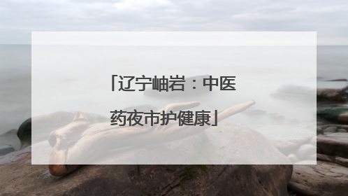 辽宁岫岩：中医药夜市护健康