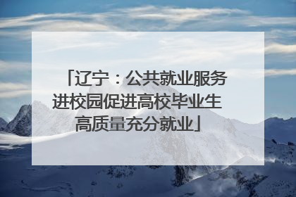辽宁：公共就业服务进校园促进高校毕业生高质量充分就业