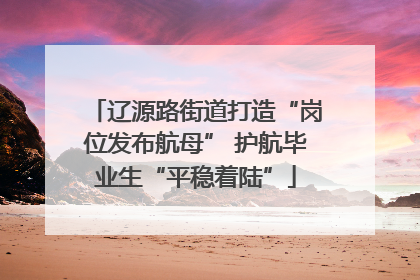 辽源路街道打造“岗位发布航母” 护航毕业生“平稳着陆”