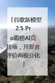 谷歌新模型2.5 Pro霸榜AI竞技场，开发者评价两极分化