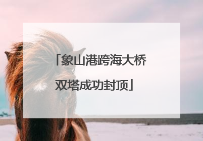 象山港跨海大桥双塔成功封顶