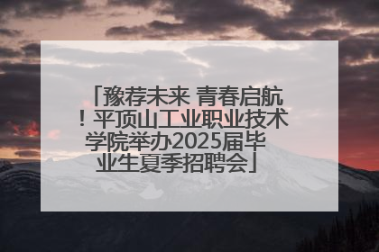 豫荐未来 青春启航！平顶山工业职业技术学院举办2025届毕业生夏季招聘会