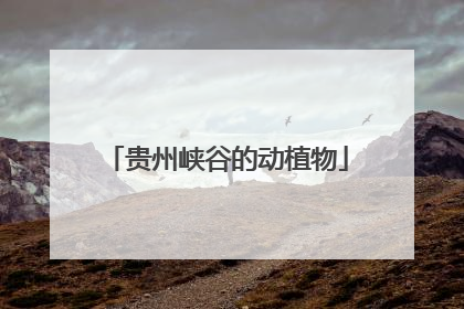 贵州峡谷的动植物