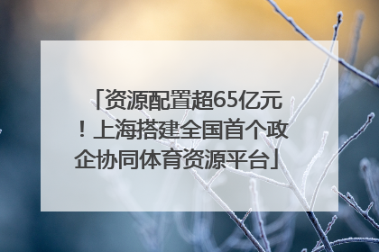 资源配置超65亿元！上海搭建全国首个政企协同体育资源平台