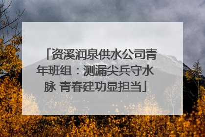 资溪润泉供水公司青年班组：测漏尖兵守水脉 青春建功显担当