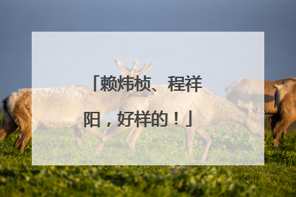赖炜桢、程祥阳，好样的！