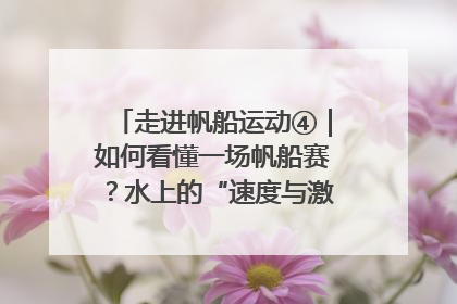 走进帆船运动④｜如何看懂一场帆船赛？水上的“速度与激情”同样精彩