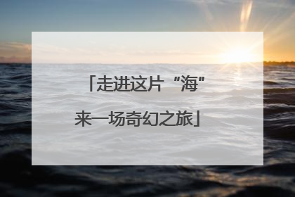 走进这片“海”来一场奇幻之旅
