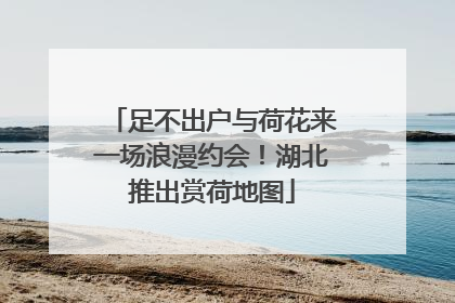 足不出户与荷花来一场浪漫约会！湖北推出赏荷地图