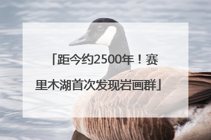 距今约2500年！赛里木湖首次发现岩画群