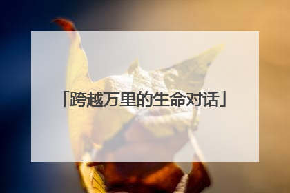 跨越万里的生命对话