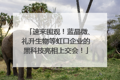 速来围观！蓝晶微、礼升生物等虹口企业的黑科技亮相上交会！