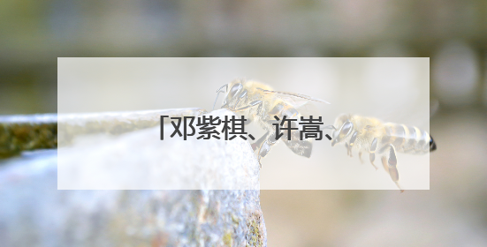 邓紫棋、许嵩、孙燕姿……山东演唱会密集来袭！