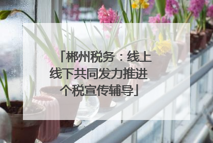 郴州税务：线上线下共同发力推进个税宣传辅导