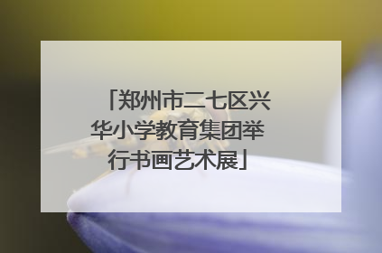 郑州市二七区兴华小学教育集团举行书画艺术展