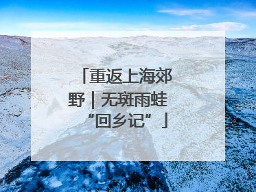重返上海郊野｜无斑雨蛙“回乡记”