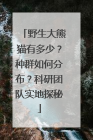野生大熊猫有多少？种群如何分布？科研团队实地探秘