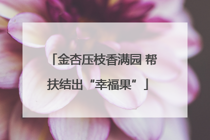 金杏压枝香满园 帮扶结出“幸福果”