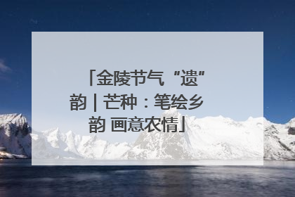 金陵节气“遗”韵｜芒种：笔绘乡韵 画意农情
