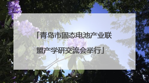 青岛市固态电池产业联盟产学研交流会举行