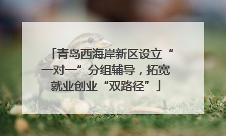 青岛西海岸新区设立“一对一”分组辅导，拓宽就业创业“双路径”