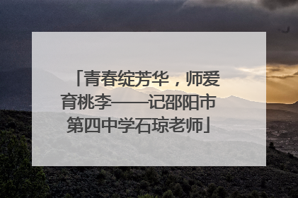 青春绽芳华，师爱育桃李——记邵阳市第四中学石琼老师