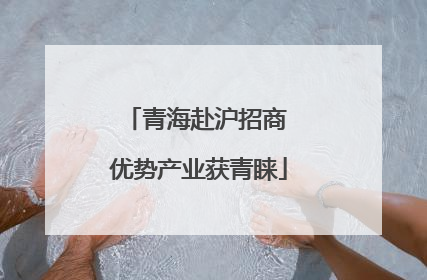 青海赴沪招商 优势产业获青睐