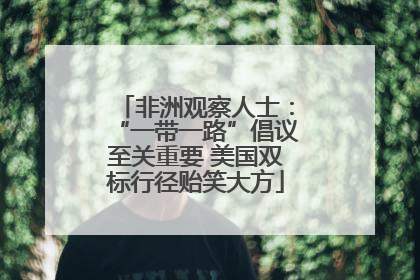 非洲观察人士：“一带一路”倡议至关重要 美国双标行径贻笑大方
