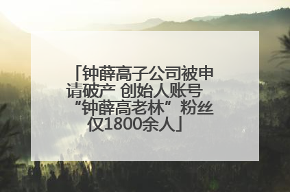 钟薛高子公司被申请破产 创始人账号“钟薛高老林”粉丝仅1800余人