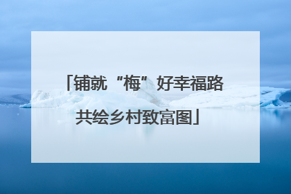 铺就“梅”好幸福路 共绘乡村致富图