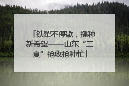 铁犁不停歇，播种新希望——山东“三夏”抢收抢种忙
