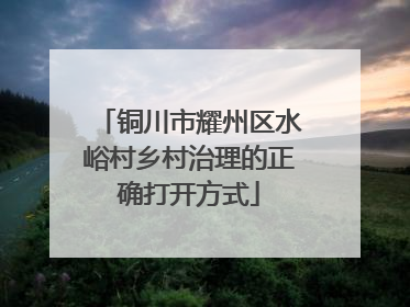铜川市耀州区水峪村乡村治理的正确打开方式