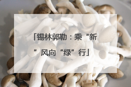 锡林郭勒：乘“新”风向“绿”行