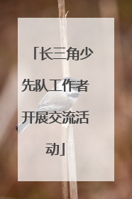 长三角少先队工作者开展交流活动