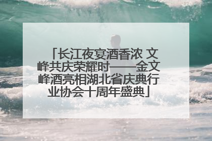 长江夜宴酒香浓 文峰共庆荣耀时——金文峰酒亮相湖北省庆典行业协会十周年盛典