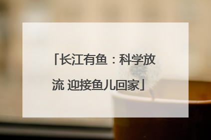 长江有鱼：科学放流 迎接鱼儿回家