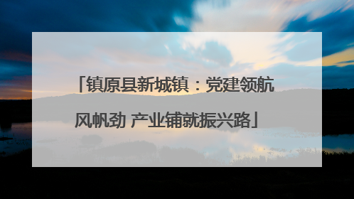 镇原县新城镇：党建领航风帆劲 产业铺就振兴路
