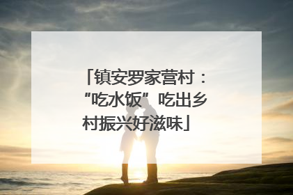 镇安罗家营村：“吃水饭”吃出乡村振兴好滋味