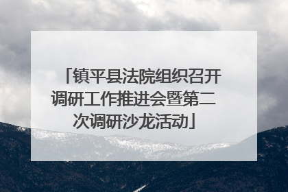镇平县法院组织召开调研工作推进会暨第二次调研沙龙活动