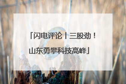 闪电评论丨三股劲！山东勇攀科技高峰