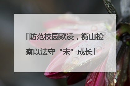 防范校园欺凌，衡山检察以法守“未”成长