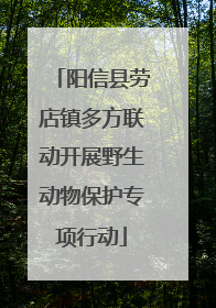 阳信县劳店镇多方联动开展野生动物保护专项行动