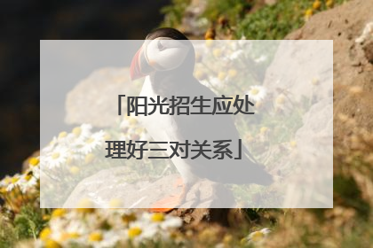 阳光招生应处理好三对关系