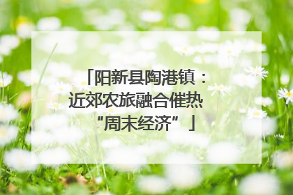 阳新县陶港镇：近郊农旅融合催热“周末经济”