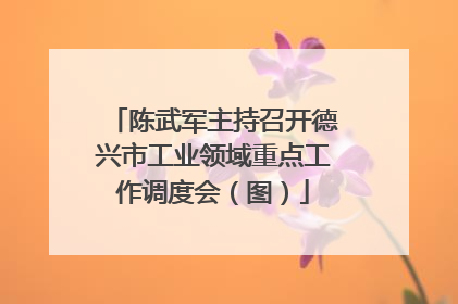 陈武军主持召开德兴市工业领域重点工作调度会（图）