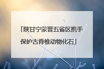 陕甘宁蒙晋五省区携手保护古脊椎动物化石