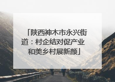 陕西神木市永兴街道：村企结对促产业 和美乡村展新颜