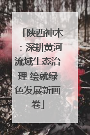 陕西神木：深耕黄河流域生态治理 绘就绿色发展新画卷