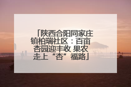 陕西合阳同家庄镇柏瑞社区：百亩杏园迎丰收 果农走上“杏”福路