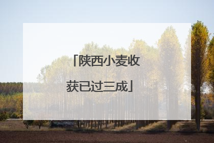 陕西小麦收获已过三成